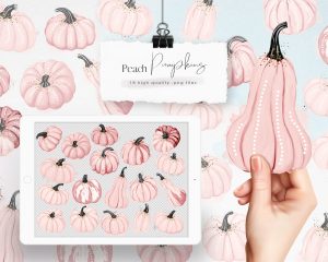 Peach Pumpkins Clipart