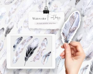 Watercolor Grey Feathers Clipart