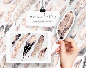 Dark Sand Watercolor Feathers Clipart