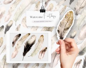 Beige Watercolor Feathers Clipart