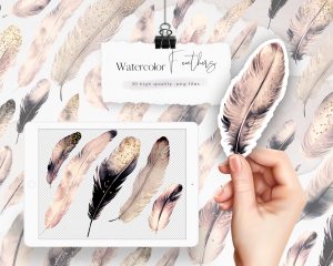 Dark Beige Watercolor Feathers Clipart