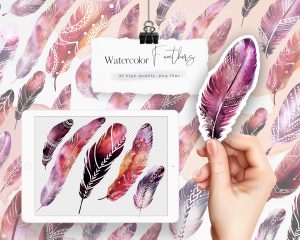Boho Watercolor Feathers Clipart