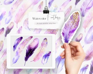 Violet and Gold Watercolor Feathers Clipart
