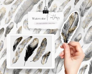 Watercolor Black Feathers Clipart