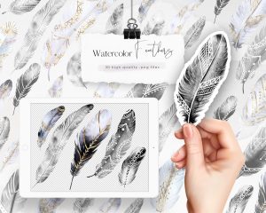 Black and White Watercolor Feathers Clipart
