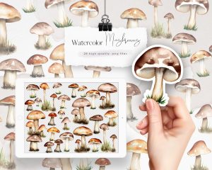 Realistic Watercolor Mushrooms Clipart