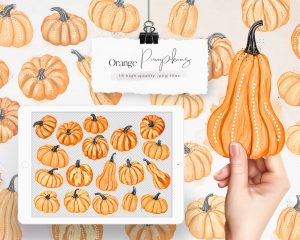 Orange Pumpkins Clipart