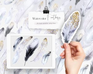 Frost Winter Watercolor Feathers