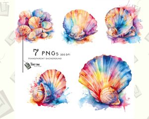 Sea Shells Rainbow Clipart Set