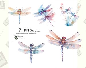 Dragonfly Watercolor Clipart Set