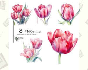Pink Tulip Clipart Set