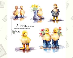 Ducklings In Rubber Boots Cute Clipart Set