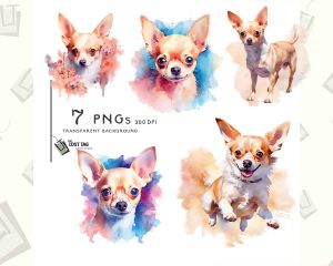 Chihuahua Dog Clipart Set