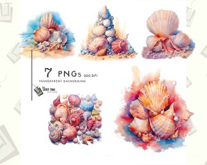 Seashells Watercolor Clipart Set