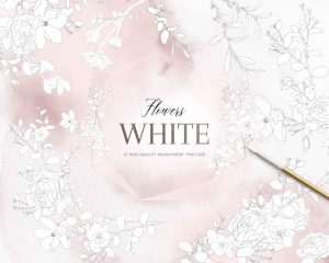 White Floral Crystal Frames Clipart