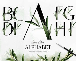 Olive Alphabet Clipart