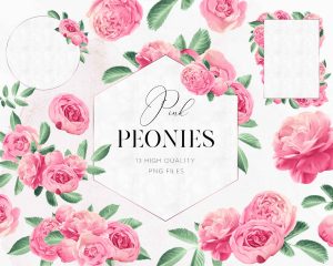 Pink Peonies Frames Clipart