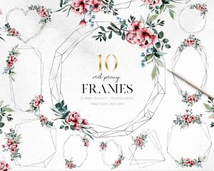 Red Peonies Frames Clipart