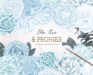 Blue Roses And Peonies Clipart