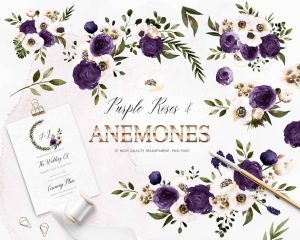 Anemones Violet Collection Clipart
