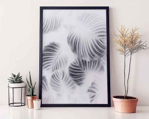 White Succulent Printable Wall Print