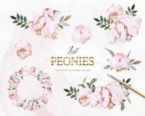 Free Peonies Clipart