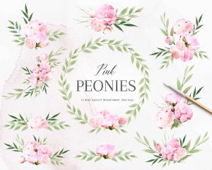 Free Peonies Bouquets Clipart