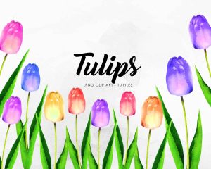 Free Tulips Clipart