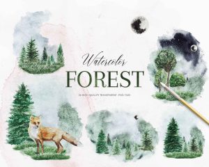 Forest Watercolor Clipart