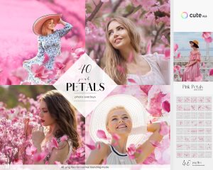 Pink Petals Photo Overlays, Pink Petals Clipart