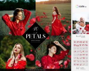 Red Petals Photo Overlays, Red Petals Clipart
