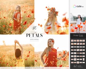 Orange Petals Photo Overlays, Clipart, Floral Photo Effects