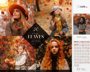 Orange Leaves Photo Overlays