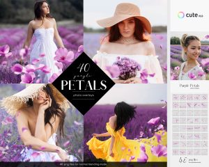 White Petals Photo Overlays