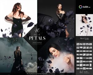 Black Petals Photo Overlays