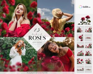 Red Roses Photo Overlays Clipart