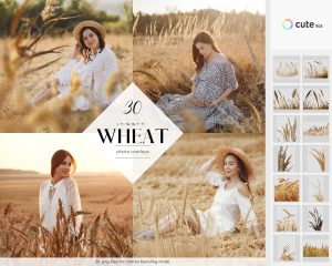 Wheat Photo Overlays Clipart