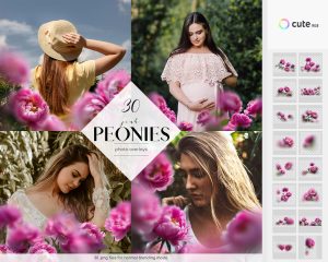 Pink Peonies Photo Overlays Clipart
