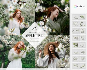 Apple Tree Photo Overlays Clipart