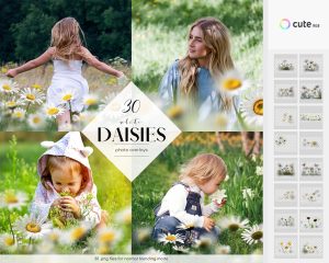 Daisies Photo Overlays Clipart