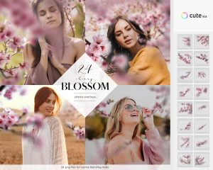 Cherry Blossom Photo Overlays Clipart
