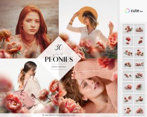Peach Peonies Photo Overlays Clipart